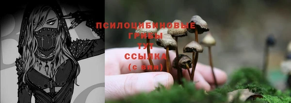 ALPHA-PVP Богородицк