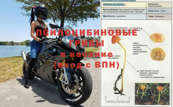 ALPHA-PVP Богородицк
